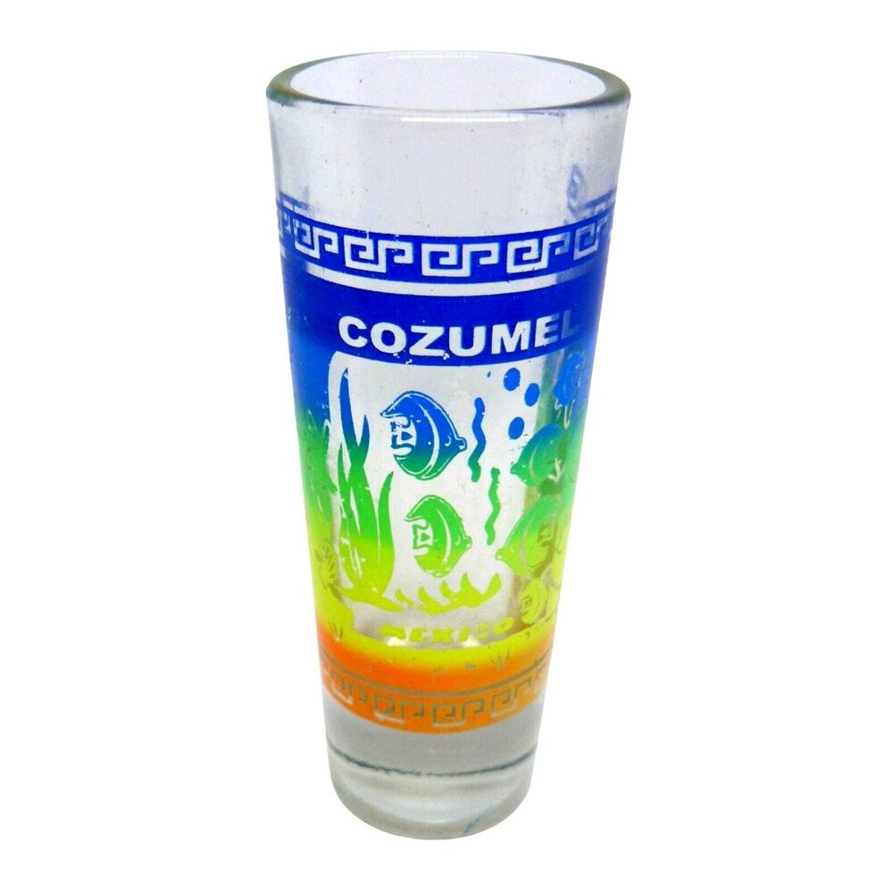 Vintage Cozumel Mexico Shot Glass with Colorful Fish & Underwater Scene Design